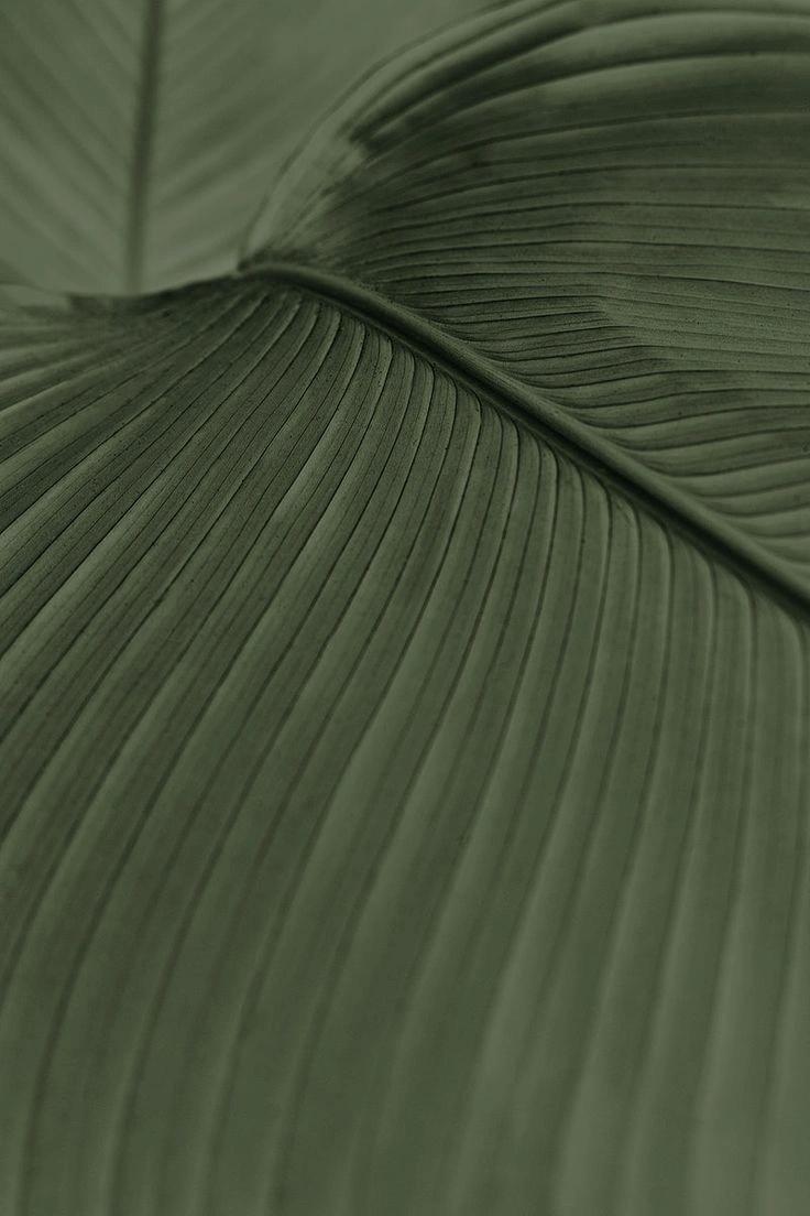 Hôtel de luxe à Calvi