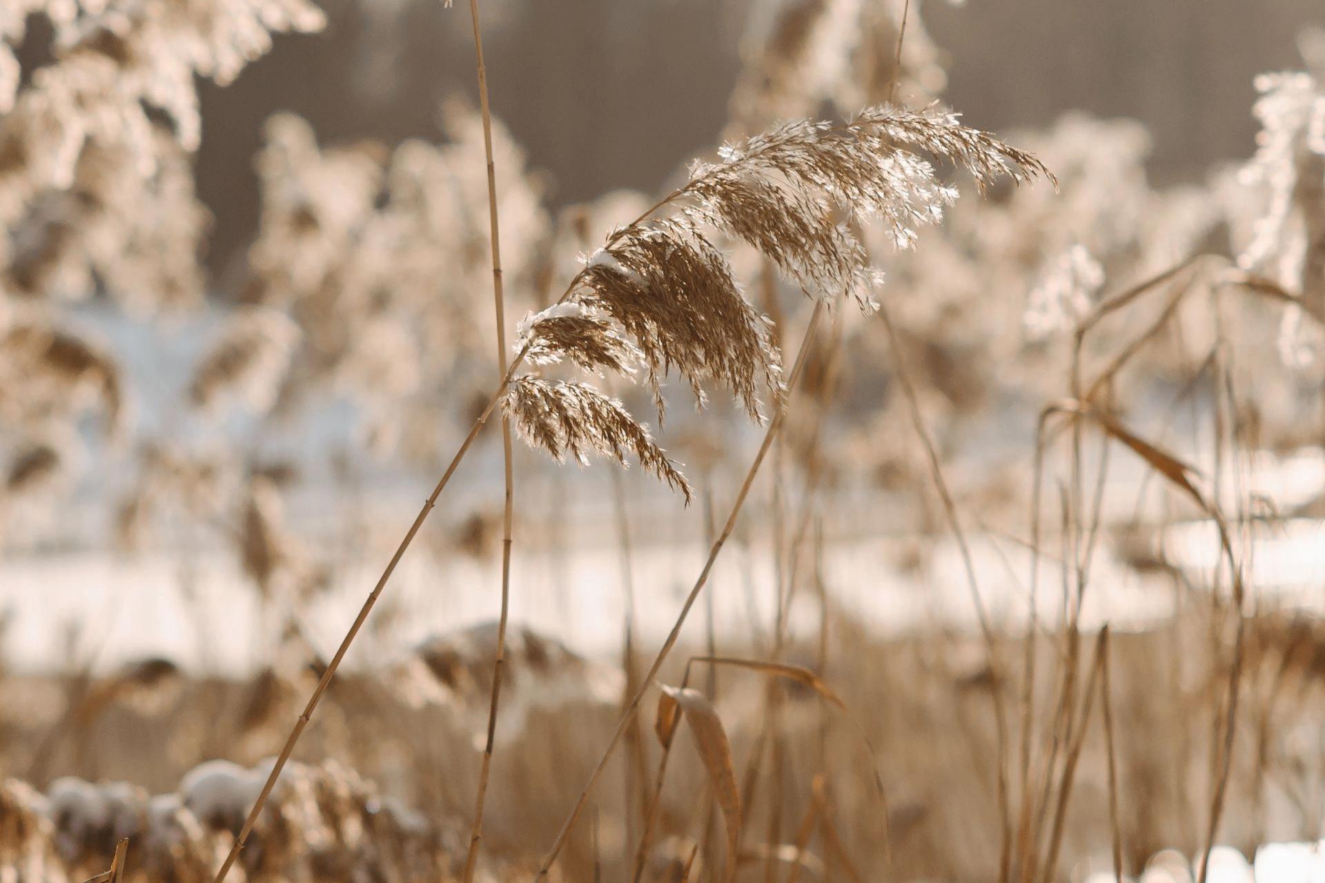 Hôtel 5 étoiles à Calvi dans le maquis